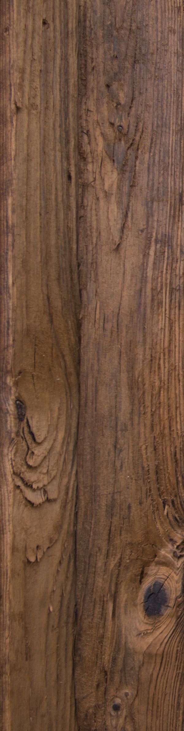 Mushroomwood Background